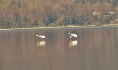 Corgeno, il lago a due passi dal gallaratese