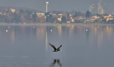 Lago di Varese, da criticità ambientale a volano turistico-economico