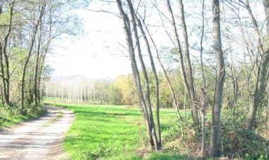 Ranco: mappati i sentieri del paese e della Collina di San Quirico