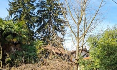 Somma, controlli sul verde strabordante sulle pubbliche vie