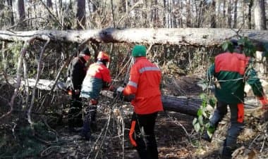 Parco Pineta, ripristino dei sentieri a Castelnuovo Bozzente e Appiano