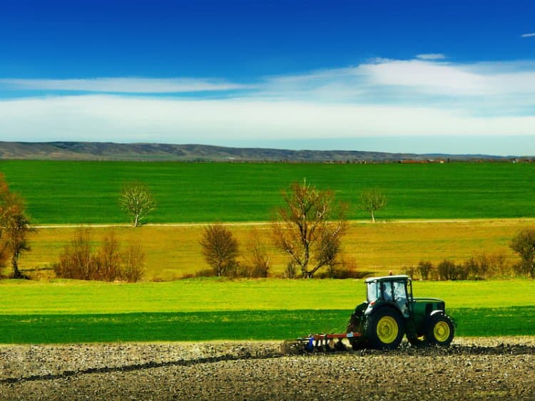 Agricoltura, quella italiana è la più sostenibile d'Europa