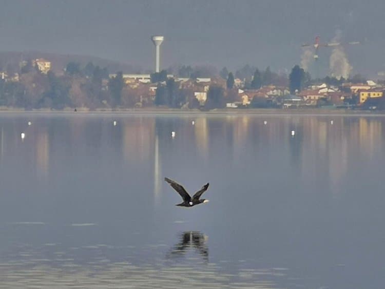 Lago di Varese, da criticità ambientale a volano turistico-economico