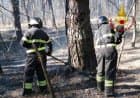Golasecca, incendi boschivi in corso