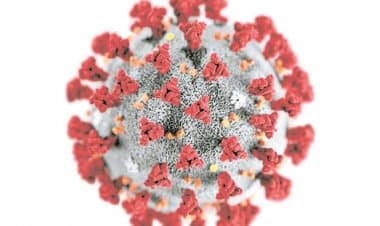 Coronavirus, contagi in prov. VA, 04.03.2021