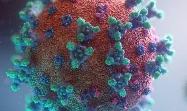 COVID-19. Una variante sconosciuta rilevata in Alsazia.