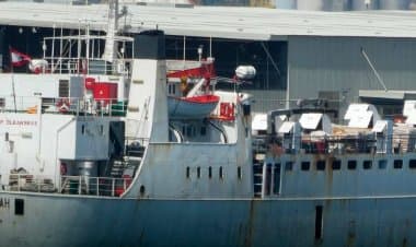 Nave carica di animali vivi nel Mediterraneo: scappata in Spagna