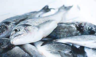 Borgo Ticino(No).Pesca elettrica