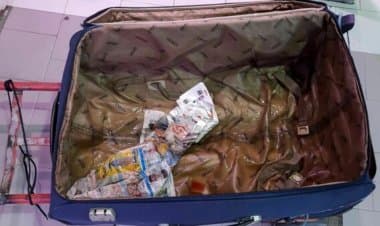 Malpensa: 600 chili di carne avariate nei bagagli personali