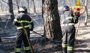 Golasecca, incendi boschivi in corso