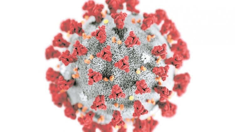 Coronavirus, contagi in prov. VA, 04.03.2021