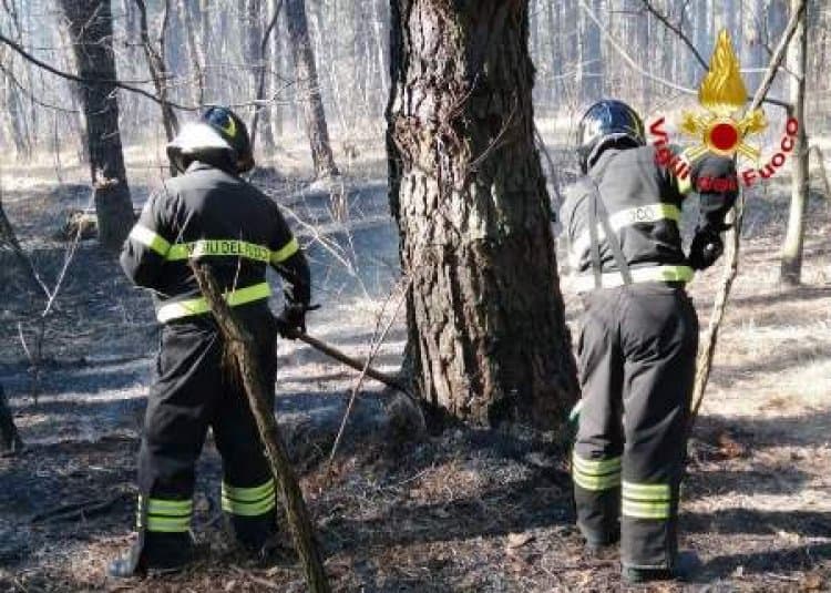 Golasecca, incendi boschivi in corso