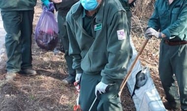Nel Parco Pineta reti per salvare i piccoli rospi