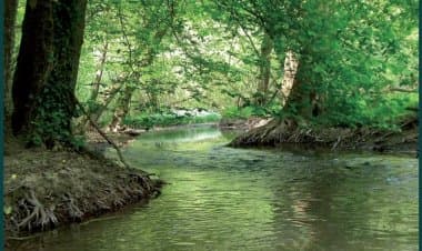Corridoi Insubrici: in arrivo quattro aree umide
