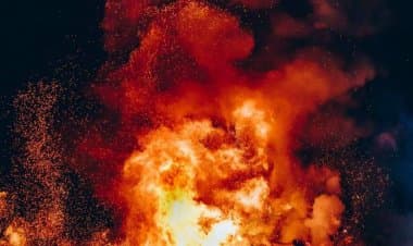 Sesto Calende(Va).Bosco di fuoco