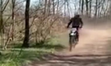 Mezzi a motore nei boschi. Contro la legge e la natura