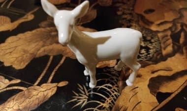 Il Safari Park supporta le Scuole per il Premio Artistico Letterario Cerbiatto Bianco 2021