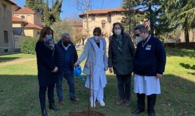 Busto Arsizio, in ospedale una paulownia a memoria delle vittime Covid