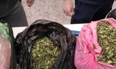 Malpensa,  arresto etiope per droga