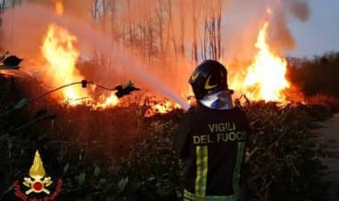 Incendio in una azienda tra Cairate e Lonate Ceppino