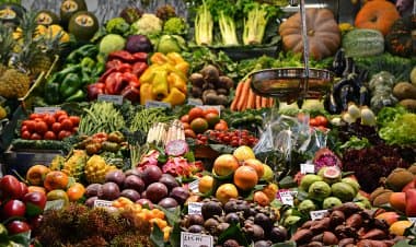 Trecate(No). L' Agrimercato di Campagna Amica