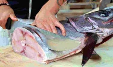 Mercurio nel pesce: attenzione a spada e verdesca