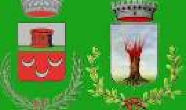 Lonate, UDC, dilettanti allo sbaraglio