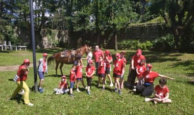 I Camp estivi sono attività professionale? Il Miur stanzia 510 milioni