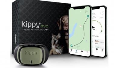 Animali, Kippy monitora la loro posizione e attività motoria