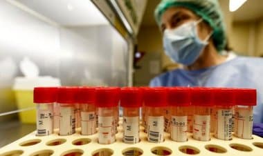 Covid si può battere con antivirali e organizzazione del territorio