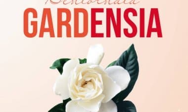 Sesto Calende. A sostegno della ricerca della sclerosi multipla