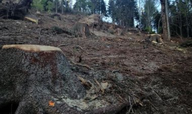 Varese. Il patrimonio naturale del Campo dei Fiori non deve morire