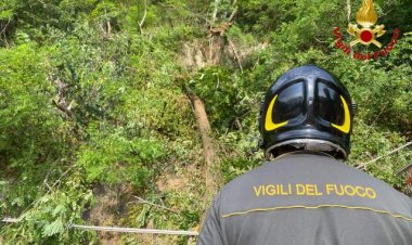 Bardello, salvato un cane dai vigili del fuoco