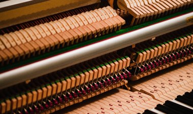 Samarate (Va). I Concerti estivi dell' Orchestra Filarmonica Europea