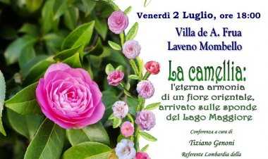 Camellie e Flamenco per il Festival Il Lago Cromatico