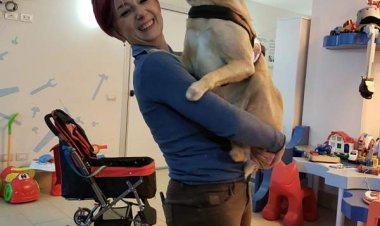 San Vittore Olona, l'eccellenza al servizio degli animali
