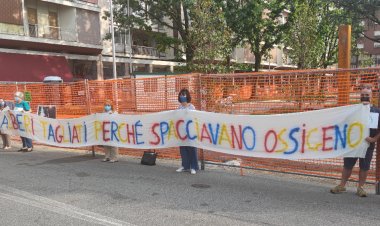 Gallarate: "alberi tagliati perché spacciavano ossigeno"