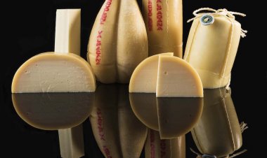 Agroalimentare, Regimi Europei di qualità fondamentali per consumatori