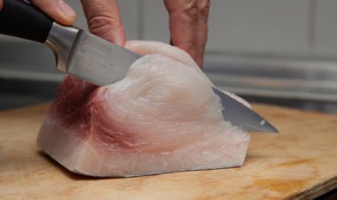 “Nel pesce c'è il mercurio” Sogegross richiama lotto di filone di spada decongelato