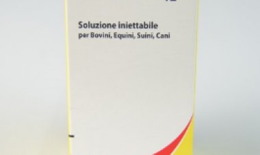 Ritirato lotto medicinale veterinario  ROCORTIN B12