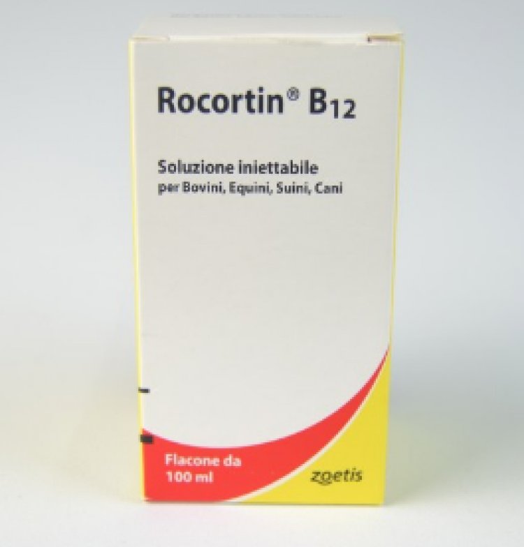 Ritirato lotto medicinale veterinario  ROCORTIN B12
