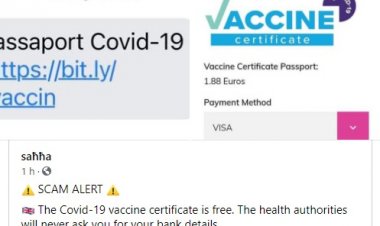 Truffa via sms per svuotare il conto, occhio al "certificato vaccinale": è gratuito