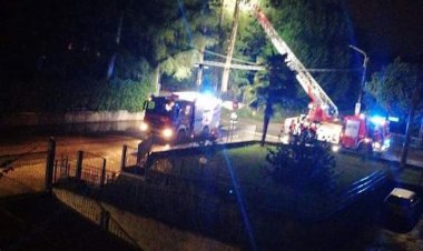 Fagnano Olona, fulmine abbatte un albero