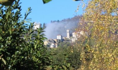 Orti di Bregazzana,  un brand nato all’interno Cooperativa Homo Faber