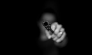 Lavena Ponte Tresa (Va). Pistola elettrica indispensabile