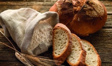 Eurostat, prezzo del pane nei Paesi Ue: l'Italia al di sopra dell'indice medio dei prezzi