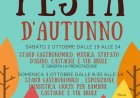 Somma Lombardo: festa d'autunno in piazza mercato