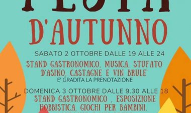 Somma Lombardo: festa d'autunno in piazza mercato