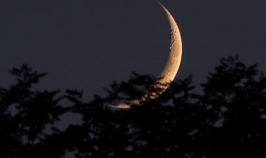 Sesto Calende : 'Eravamo due amici al bar'
