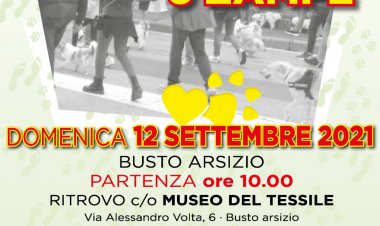 Busto, Free Runners team, camminata a 6 zampe